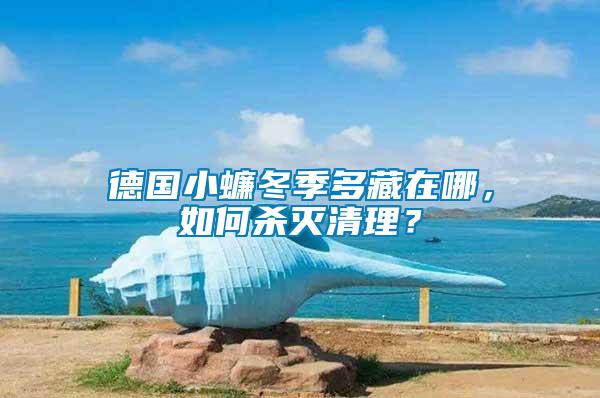 德國小蠊冬季多藏在哪，如何殺滅清理？