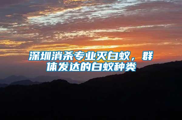 深圳消殺專業滅白蟻，群體發達的白蟻種類