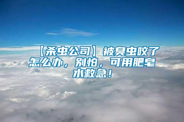 【殺蟲公司】被臭蟲咬了怎么辦，別怕，可用肥皂水救急！