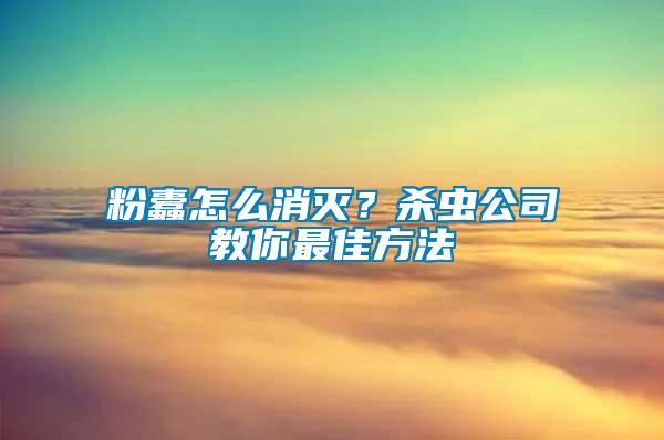 粉蠹怎么消滅？殺蟲公司教你最佳方法