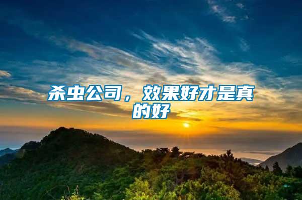 殺蟲公司，效果好才是真的好