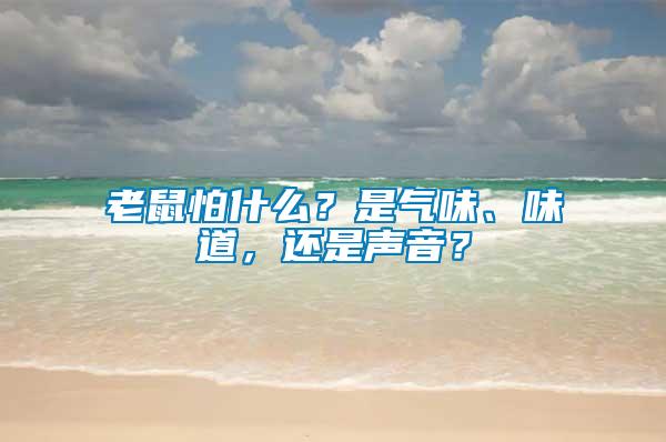 老鼠怕什么？是氣味、味道，還是聲音？