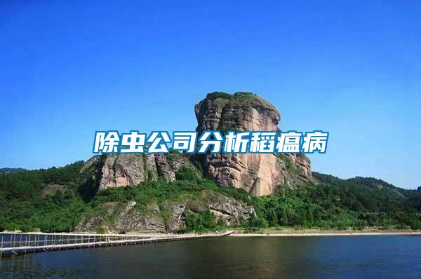 除蟲(chóng)公司分析稻瘟病