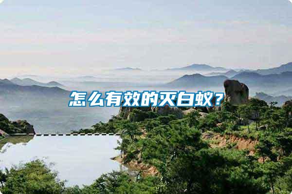 怎么有效的滅白蟻？