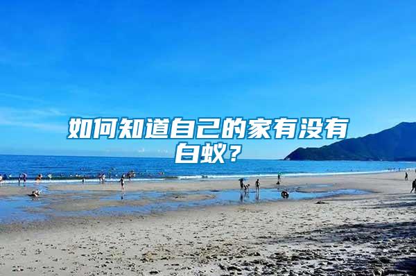 如何知道自己的家有沒(méi)有白蟻？