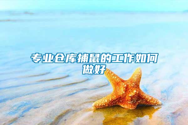 專(zhuān)業(yè)倉(cāng)庫(kù)捕鼠的工作如何做好