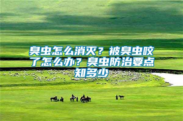 臭蟲怎么消滅？被臭蟲咬了怎么辦？臭蟲防治要點(diǎn)知多少