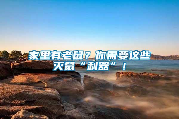 家里有老鼠？你需要這些滅鼠“利器”！