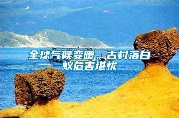 全球氣候變暖，古村落白蟻危害堪憂
