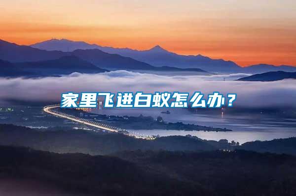 家里飛進(jìn)白蟻怎么辦？