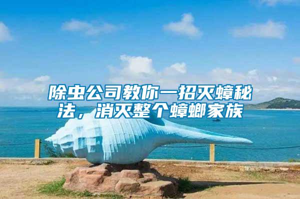 除蟲公司教你一招滅蟑秘法，消滅整個(gè)蟑螂家族