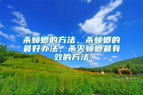 殺蟑螂的方法，殺蟑螂的最好辦法，殺滅蟑螂最有效的方法