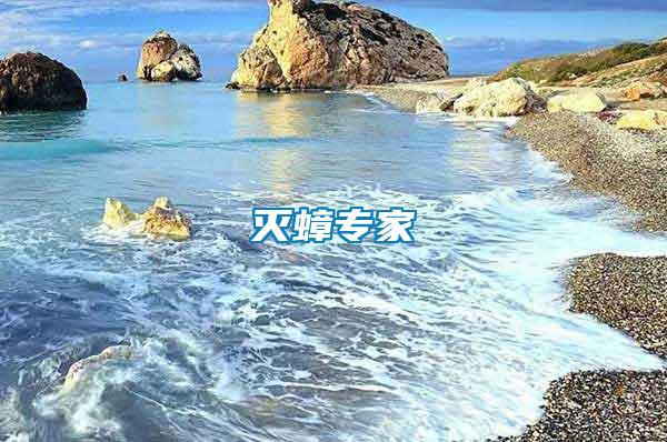 滅蟑專(zhuān)家