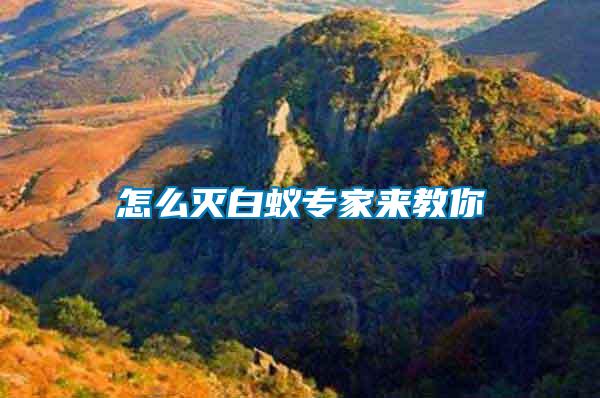 怎么滅白蟻專家來(lái)教你