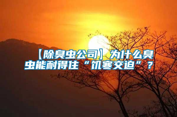 【除臭蟲公司】為什么臭蟲能耐得住“饑寒交迫”？