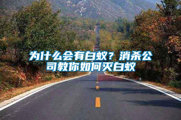 為什么會有白蟻？消殺公司教你如何滅白蟻