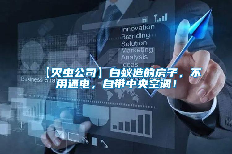 【滅蟲公司】白蟻造的房子，不用通電，自帶中央空調(diào)！