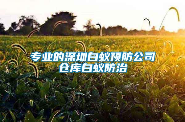 專業(yè)的深圳白蟻預(yù)防公司倉(cāng)庫白蟻防治
