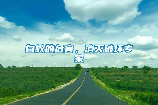 白蟻的危害，消滅破壞專(zhuān)家