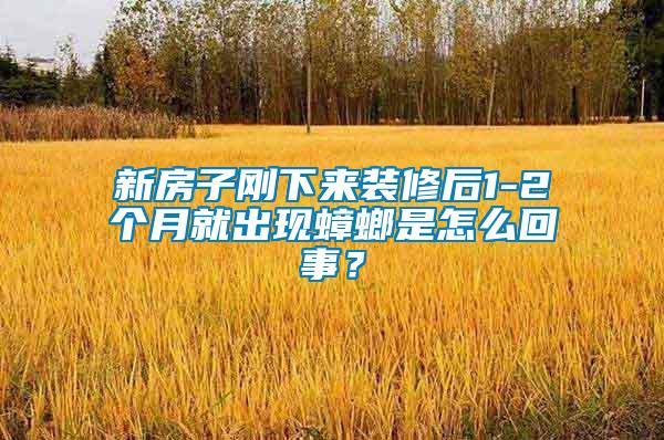 新房子剛下來裝修后1-2個月就出現蟑螂是怎么回事？