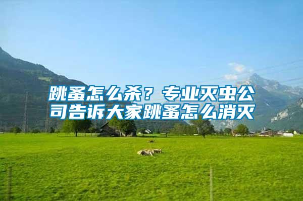 跳蚤怎么殺？專業(yè)滅蟲(chóng)公司告訴大家跳蚤怎么消滅