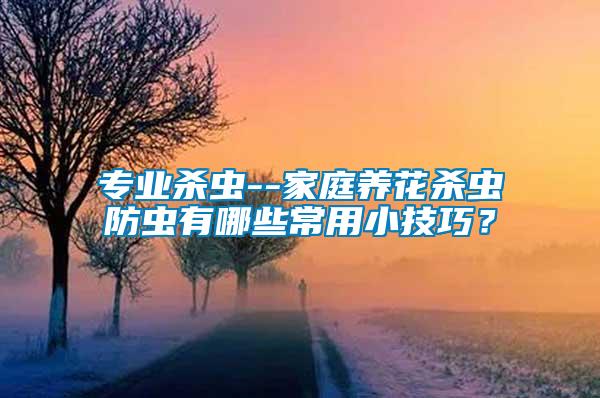 專業殺蟲--家庭養花殺蟲防蟲有哪些常用小技巧？