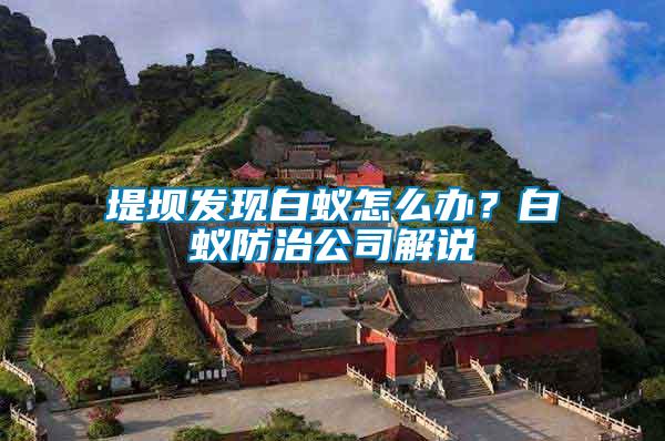 堤壩發(fā)現(xiàn)白蟻怎么辦？白蟻防治公司解說(shuō)