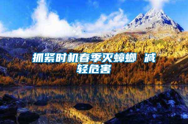 抓緊時機(jī)春季滅蟑螂 減輕危害