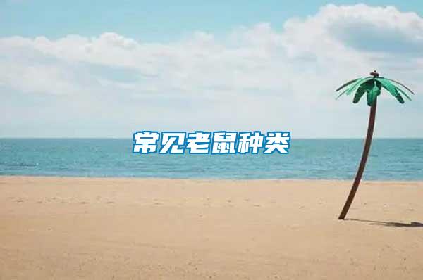 常見(jiàn)老鼠種類