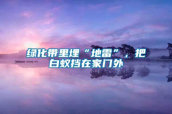 綠化帶里埋“地雷”，把白蟻擋在家門外