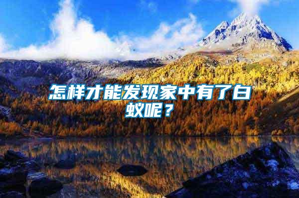 怎樣才能發(fā)現(xiàn)家中有了白蟻呢？
