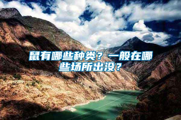 鼠有哪些種類？一般在哪些場所出沒？