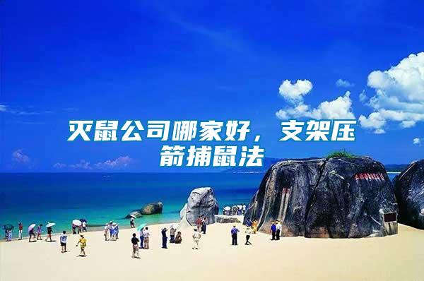 滅鼠公司哪家好，支架壓箭捕鼠法