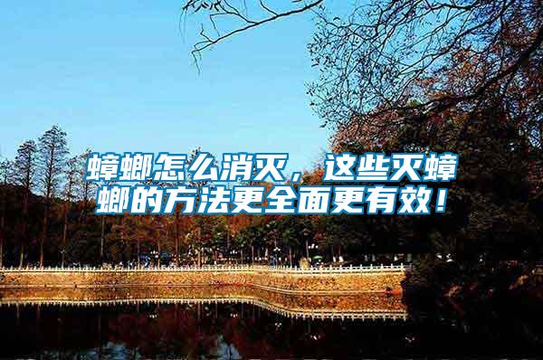 蟑螂怎么消滅，這些滅蟑螂的方法更全面更有效！