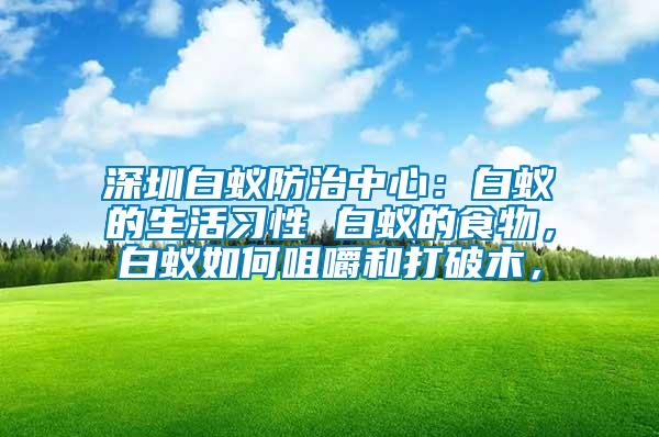深圳白蟻防治中心：白蟻的生活習性 白蟻的食物，白蟻如何咀嚼和打破木，