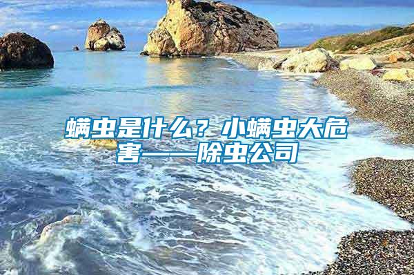 螨蟲是什么？小螨蟲大危害——除蟲公司