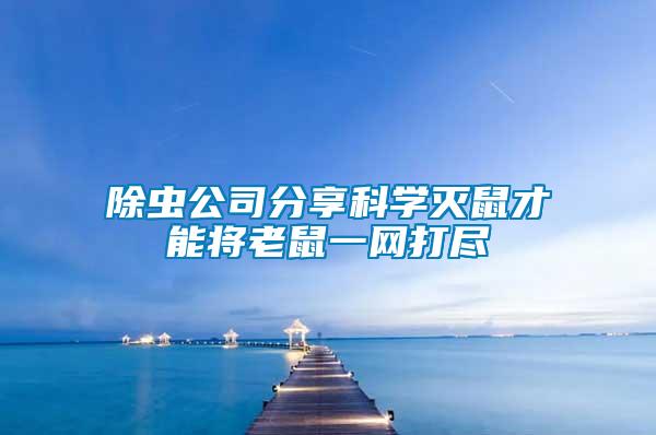 除蟲公司分享科學滅鼠才能將老鼠一網(wǎng)打盡