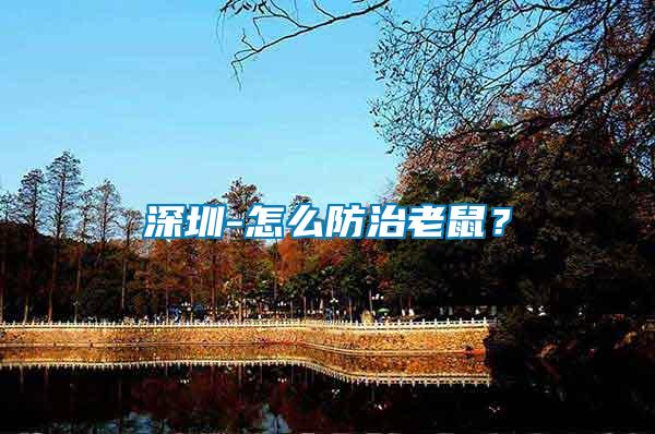 深圳-怎么防治老鼠？