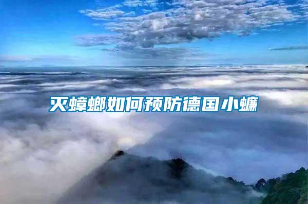 滅蟑螂如何預(yù)防德國(guó)小蠊