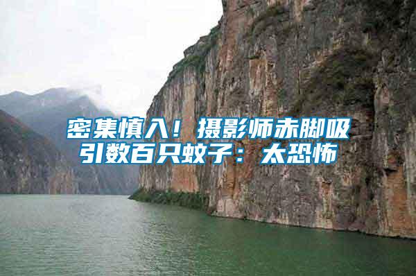 密集慎入！攝影師赤腳吸引數(shù)百只蚊子：太恐怖