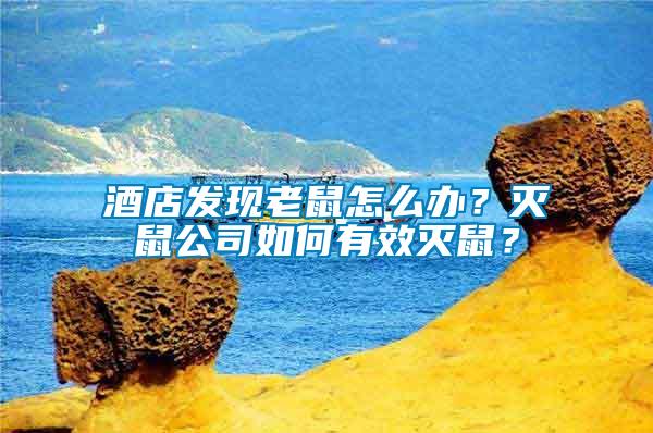 酒店發現老鼠怎么辦？滅鼠公司如何有效滅鼠？