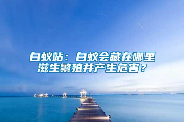 白蟻站：白蟻會(huì)藏在哪里滋生繁殖并產(chǎn)生危害？