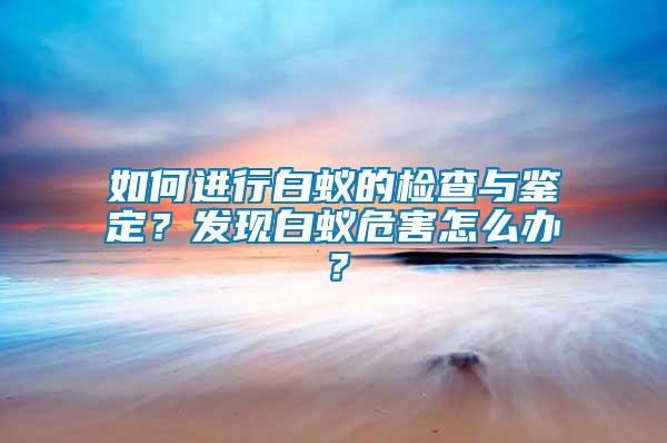 如何進(jìn)行白蟻的檢查與鑒定？發(fā)現(xiàn)白蟻危害怎么辦？