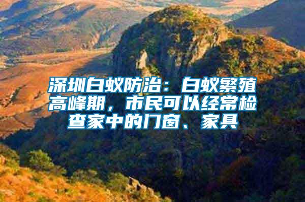 深圳白蟻防治：白蟻繁殖高峰期，市民可以經(jīng)常檢查家中的門窗、家具