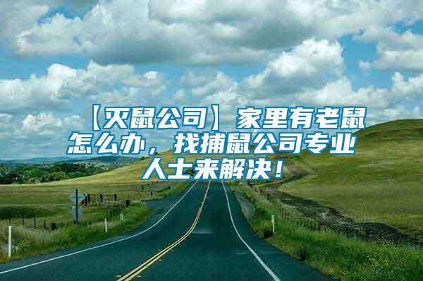【滅鼠公司】家里有老鼠怎么辦，找捕鼠公司專業(yè)人士來解決！