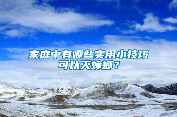 家庭中有哪些實(shí)用小技巧可以滅蟑螂？
