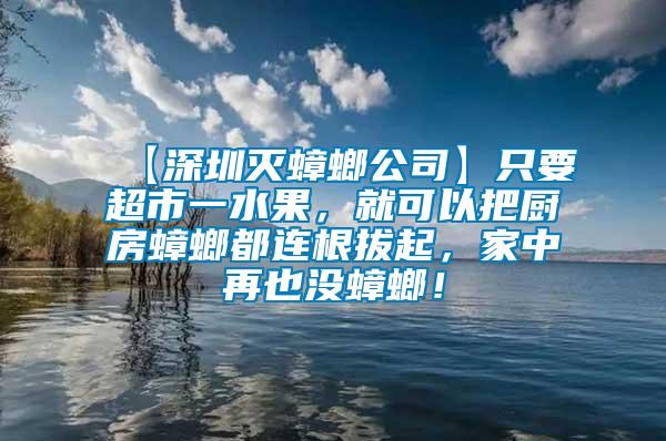 【深圳滅蟑螂公司】只要超市一水果，就可以把廚房蟑螂都連根拔起，家中再也沒蟑螂！
