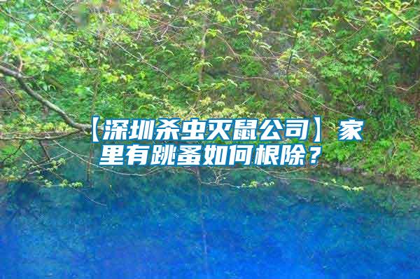 【深圳殺蟲(chóng)滅鼠公司】家里有跳蚤如何根除？