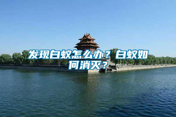 發現白蟻怎么辦？白蟻如何消滅？