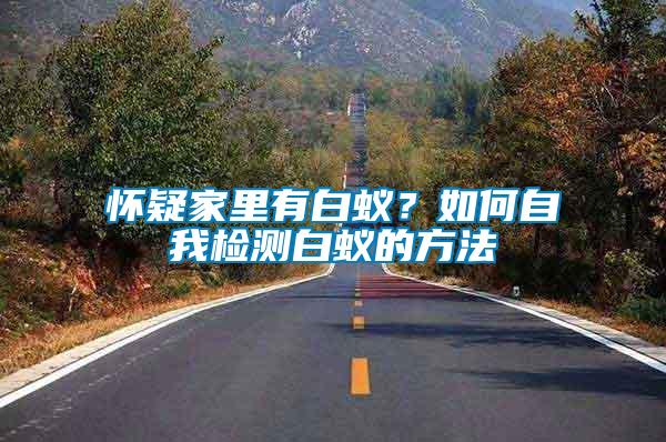 懷疑家里有白蟻？如何自我檢測白蟻的方法